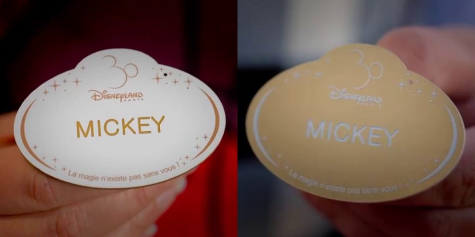 nametag disneyland paris 30 ans