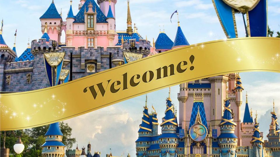 visiteurs internationaux disney