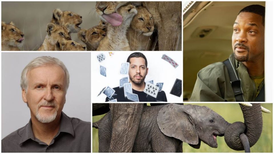 national geographic projets disney+