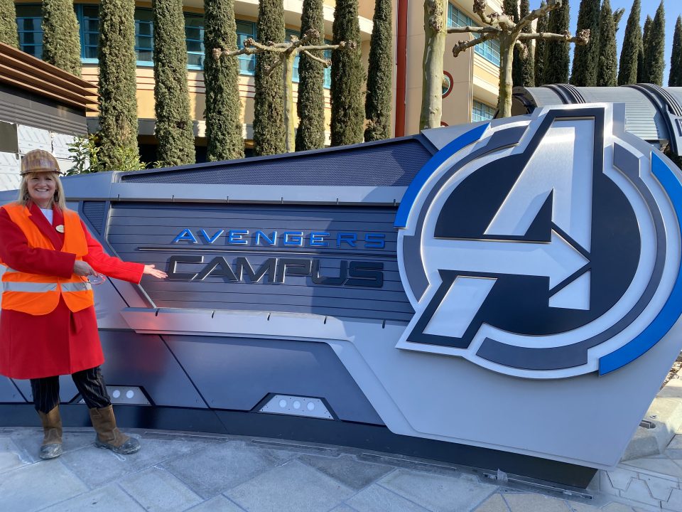 enseigne avengers campus