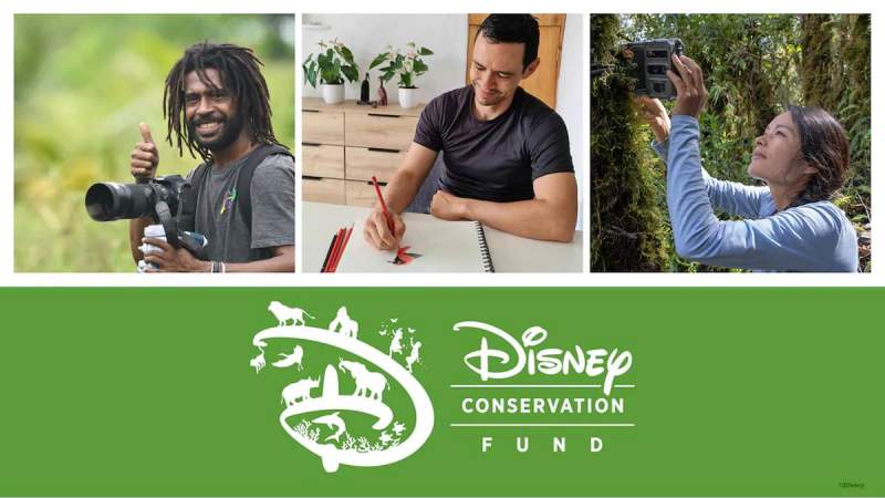 legacy awards disney conservation fund