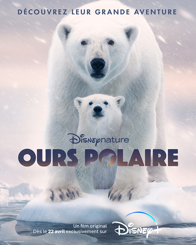 ours polaire
