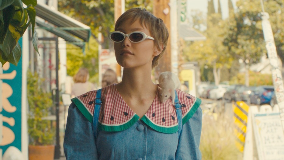 hollywood stargirl