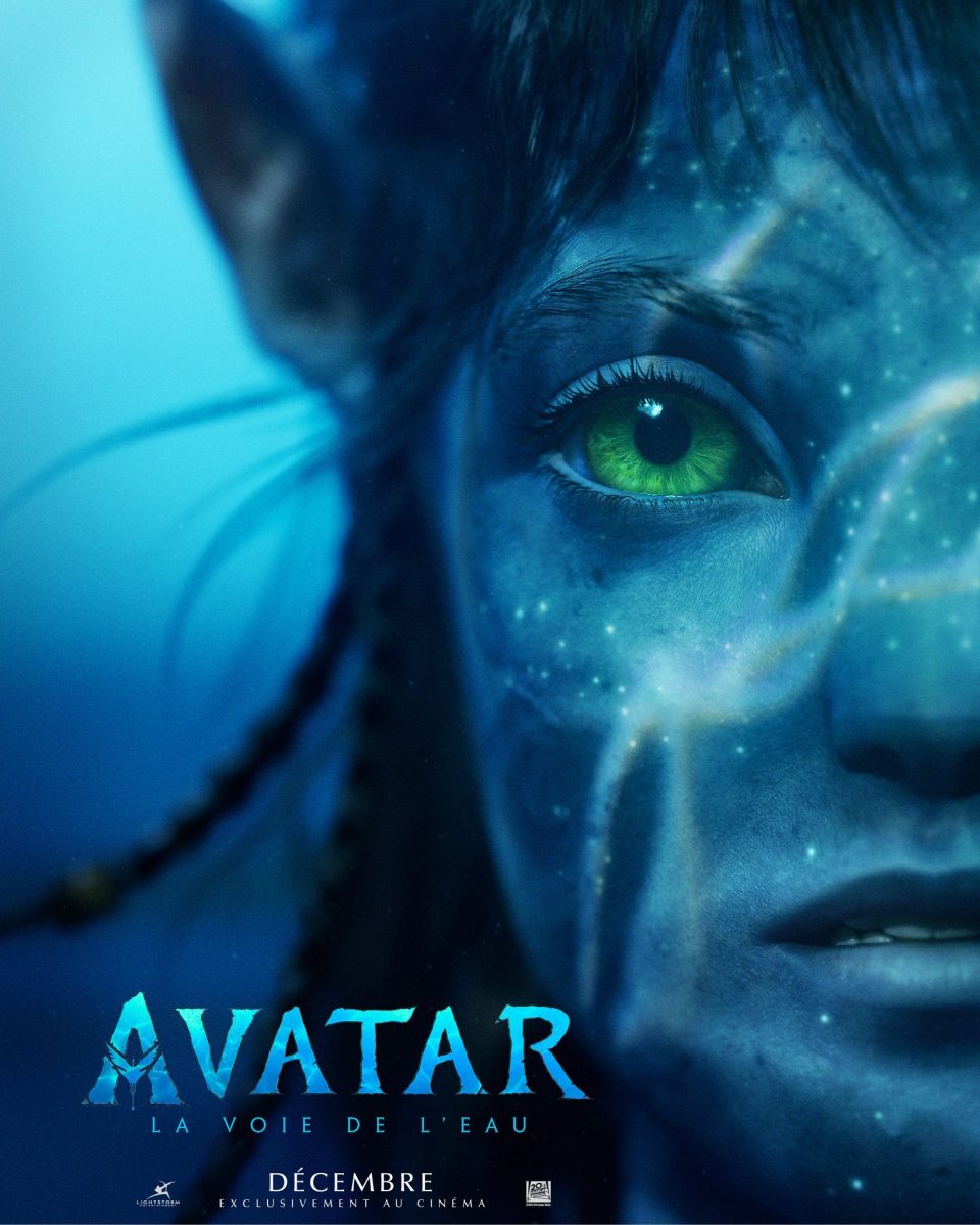 affiche avatar