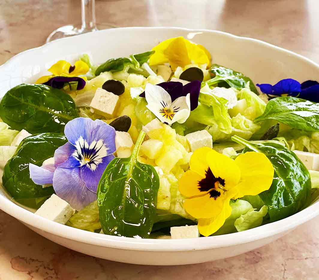 végatarien disneyland