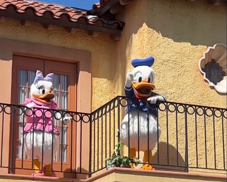 donald langue signes