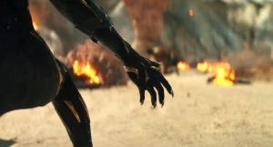 black panther france