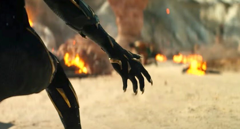 black panther france