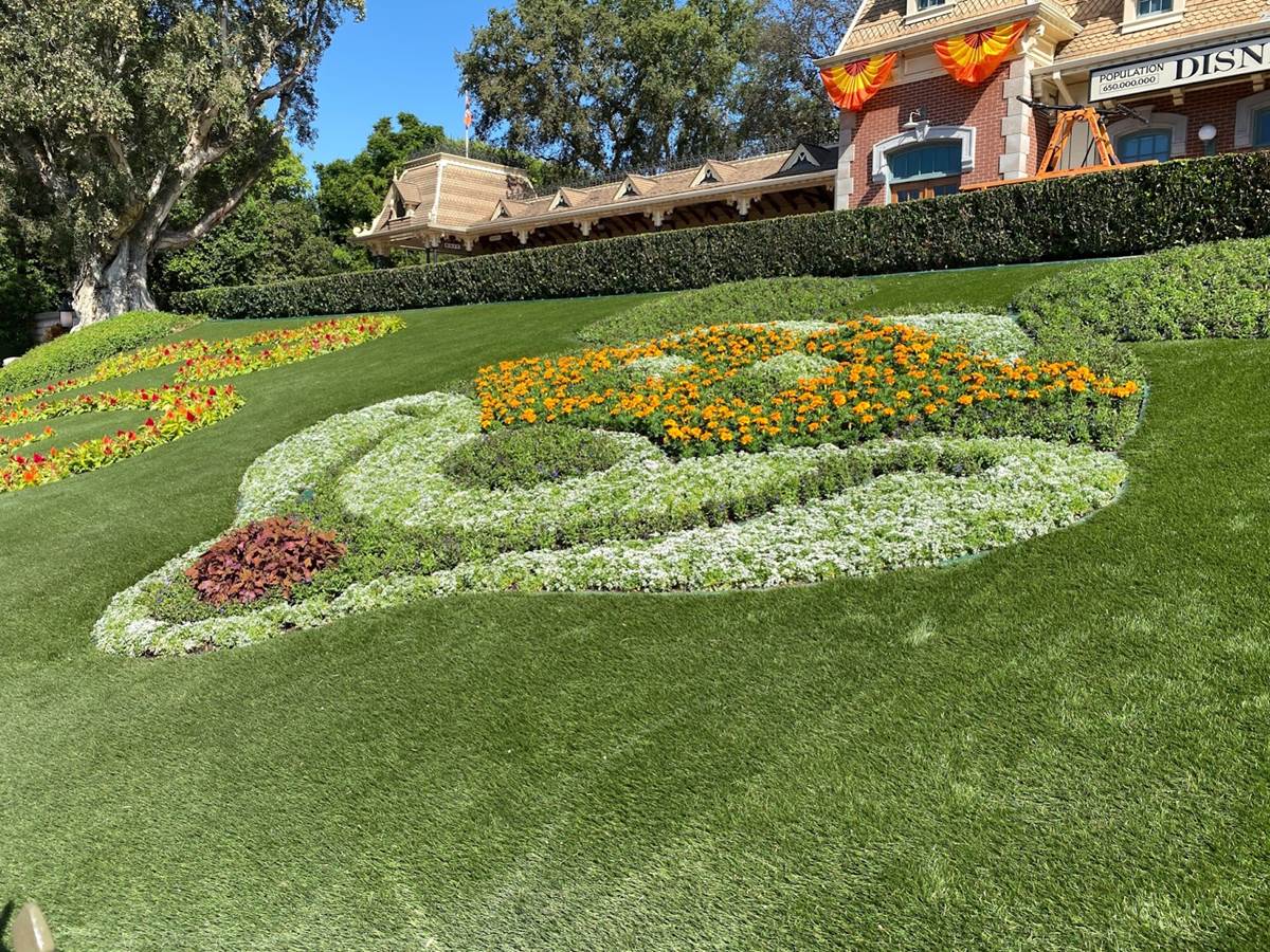 gazon synthétique disneyland