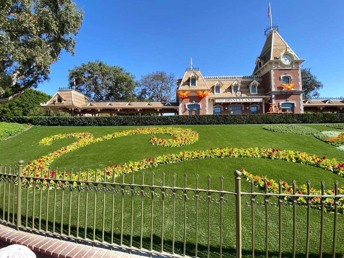 gazon synthétique disneyland