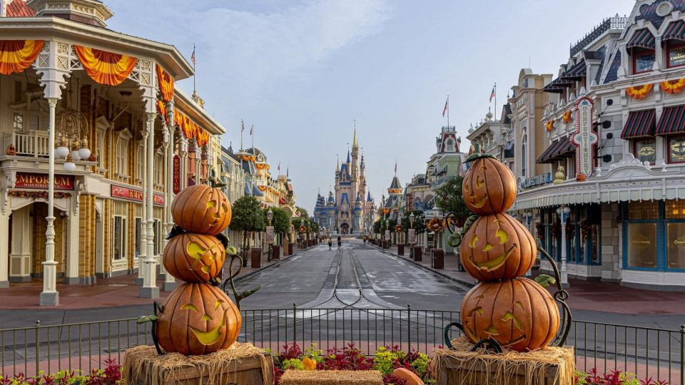 ian walt disney world