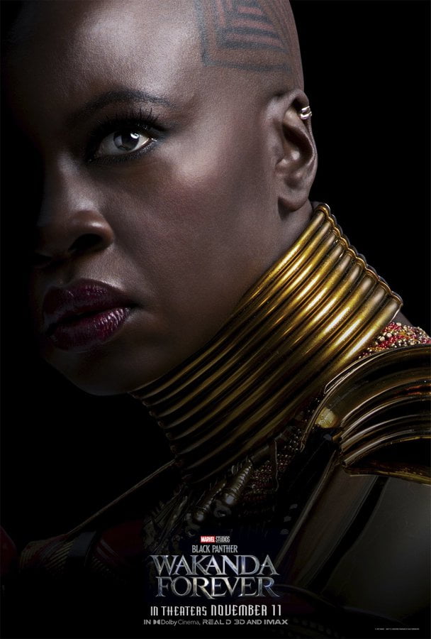 affiches personnages black panther