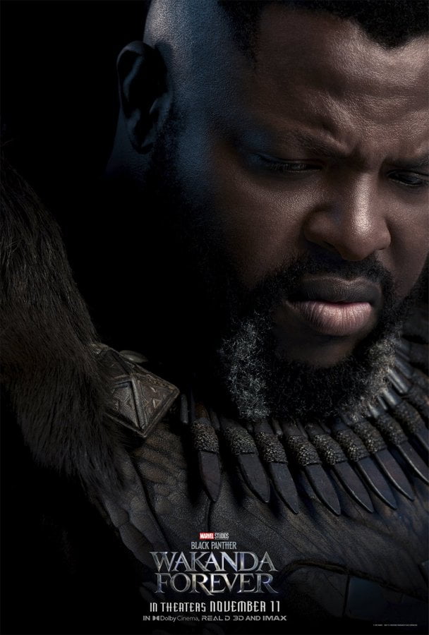 affiches personnages black panther