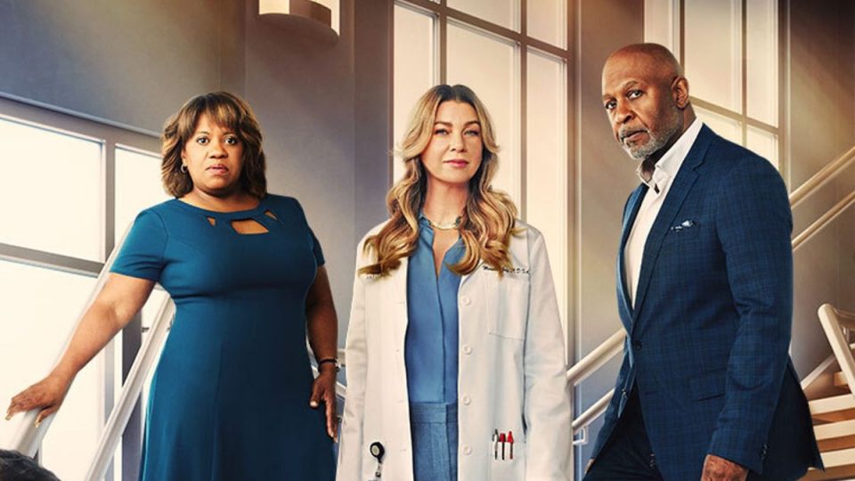 grey's anatomy 19
