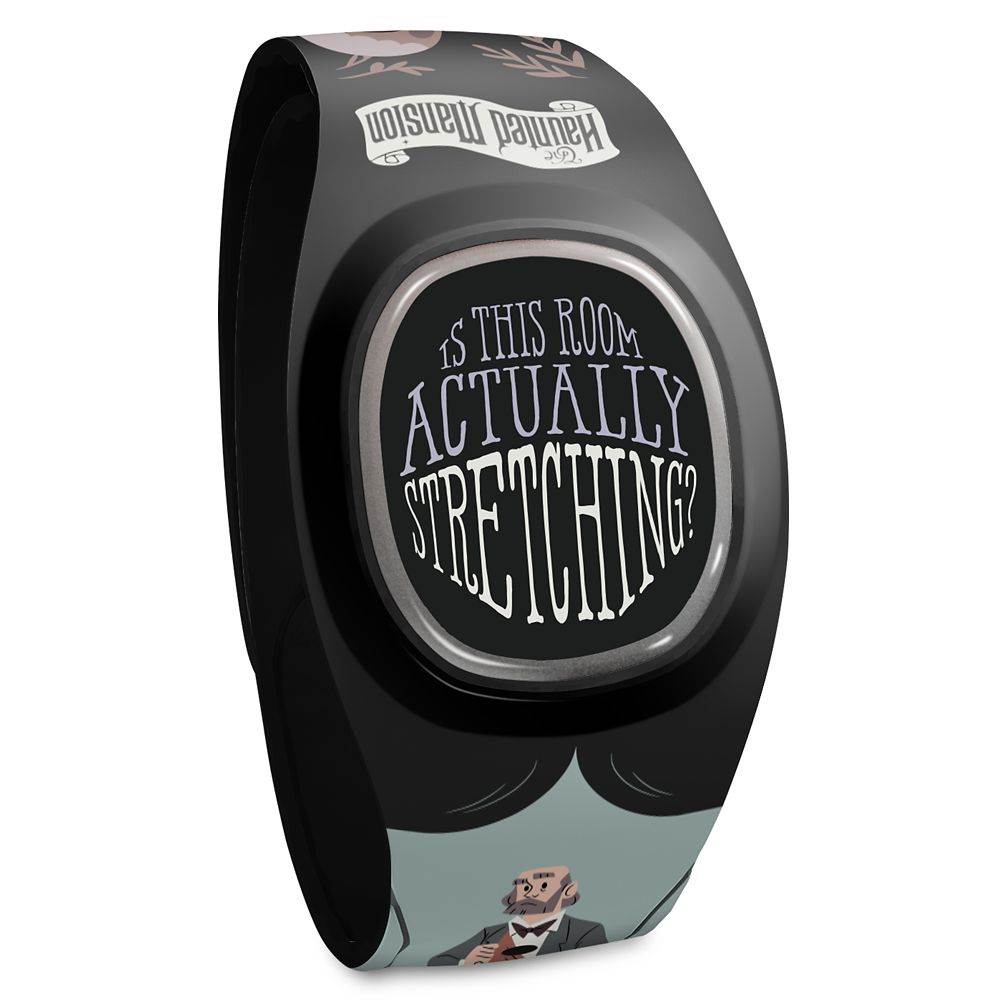 modèles magicband+