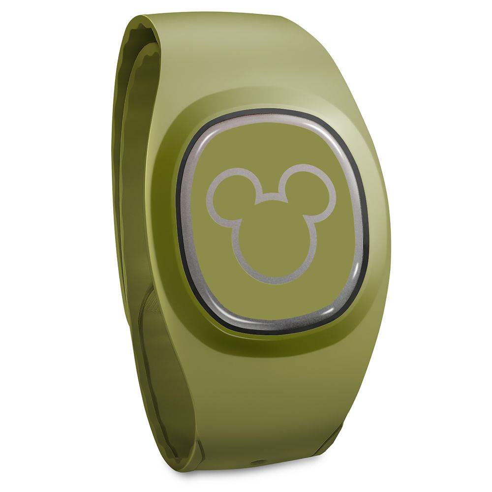 modèles magicband+