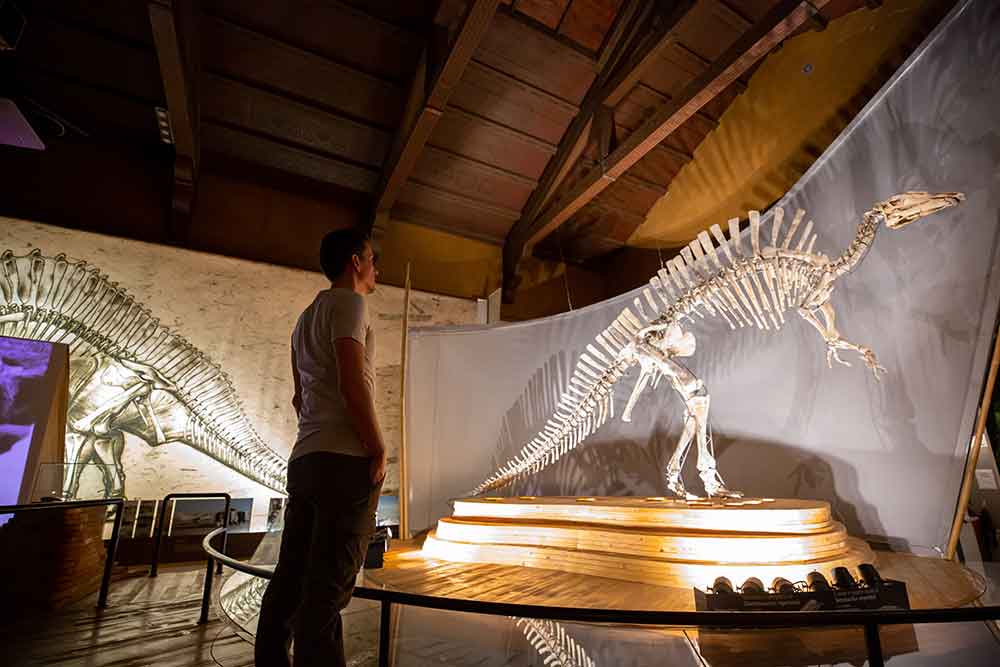 Chasseurs de dinosaures