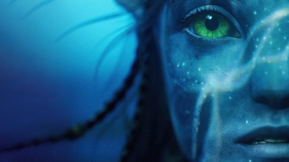 avatar box-office