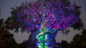 tree of life awakenings