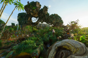 Pandora Disney's Animal Kingdom