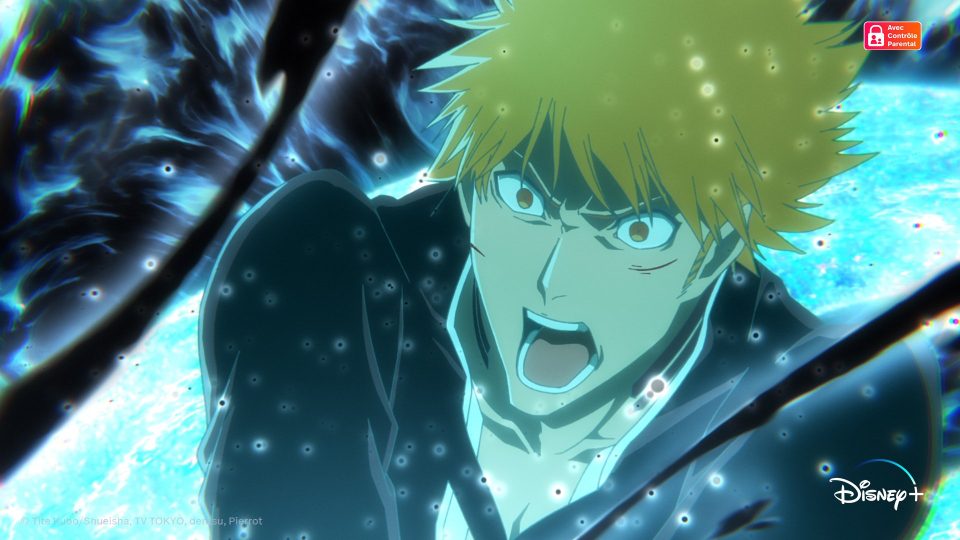 bleach france