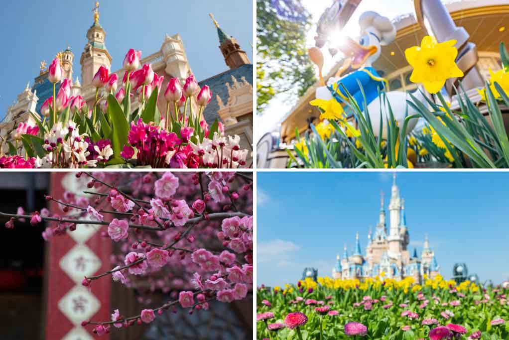 shanghai disney printemps 2023