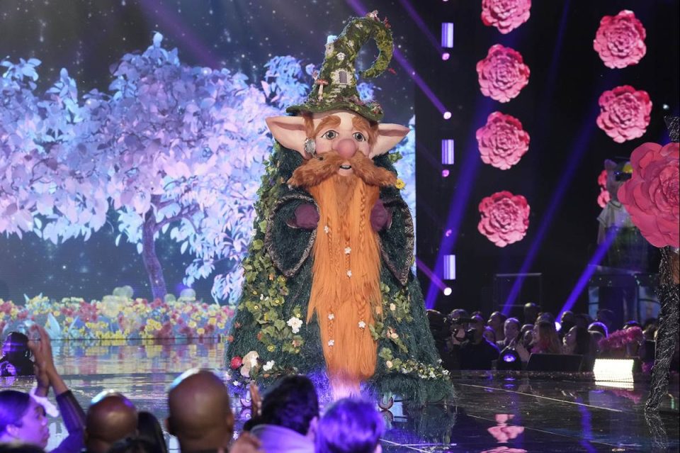 the masked singer