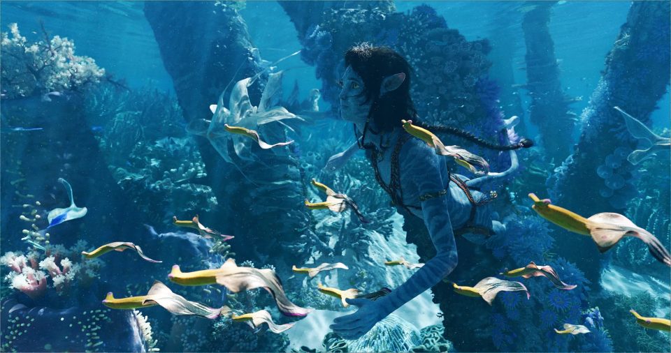 avatar box-office français