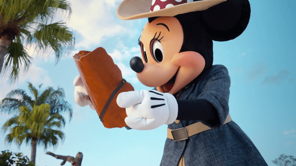 minnie disney treasure