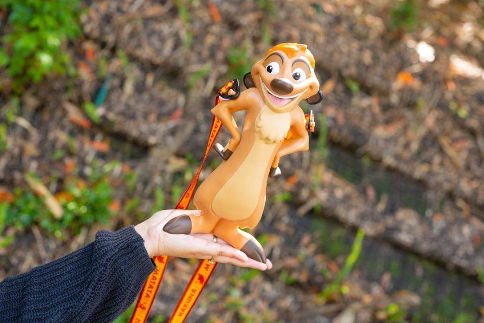 gourde timon
