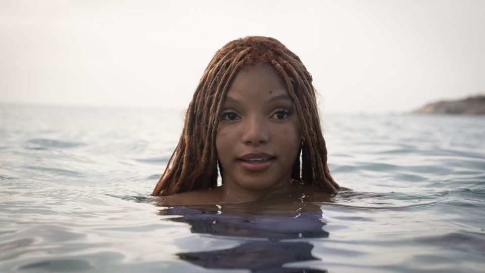 la petite sirène box-office