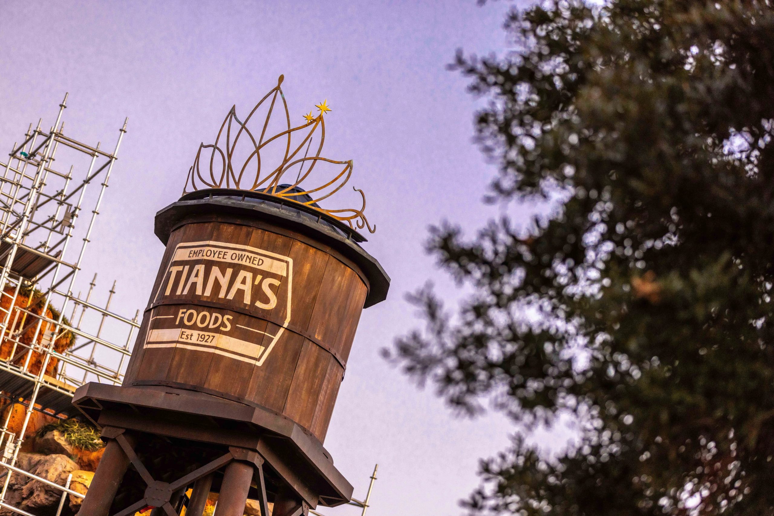 château d'eau tiana's foods installé