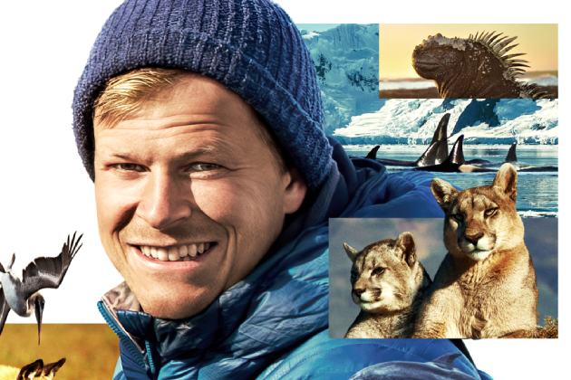 bertie gregory animaux