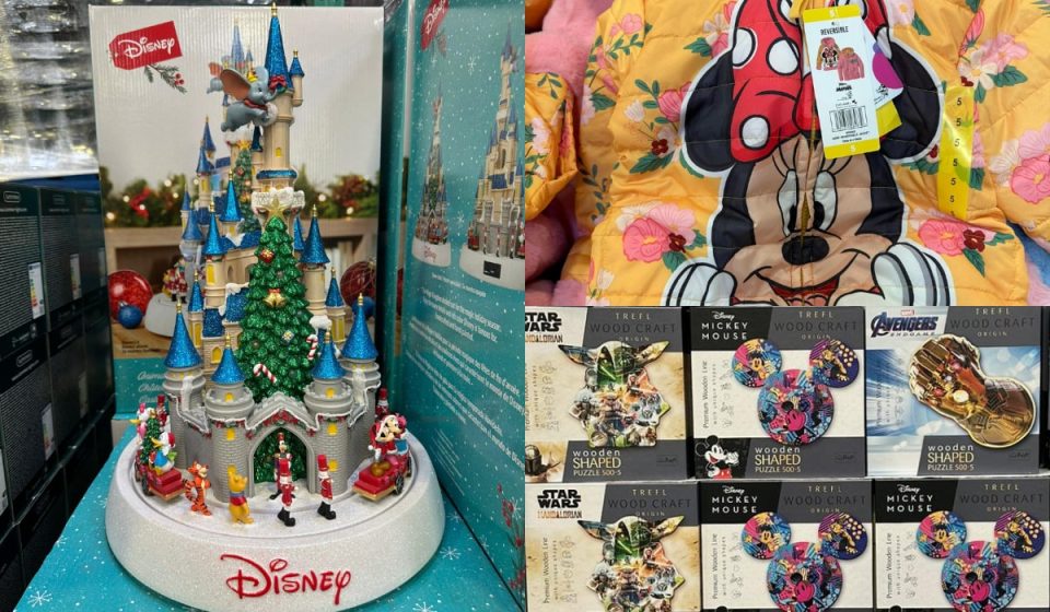 disney cotsco 2023