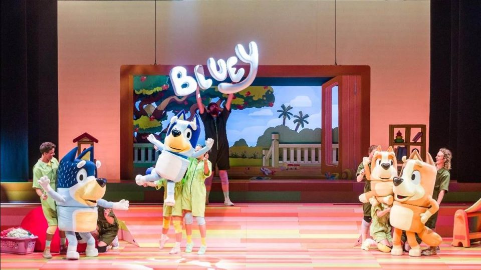 spectacle bluey