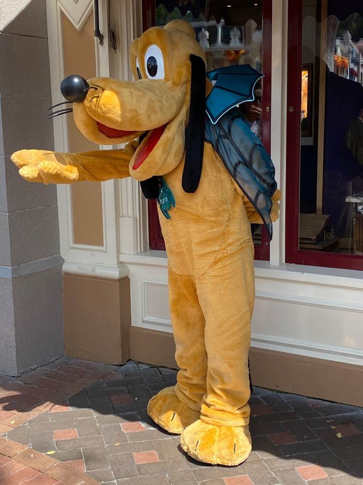 tenues halloween 2023 disneyland