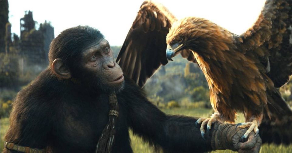kingdom planet apes