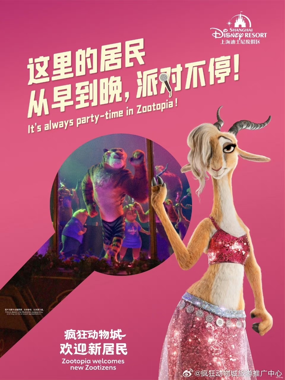 flash zootopie shanghai
