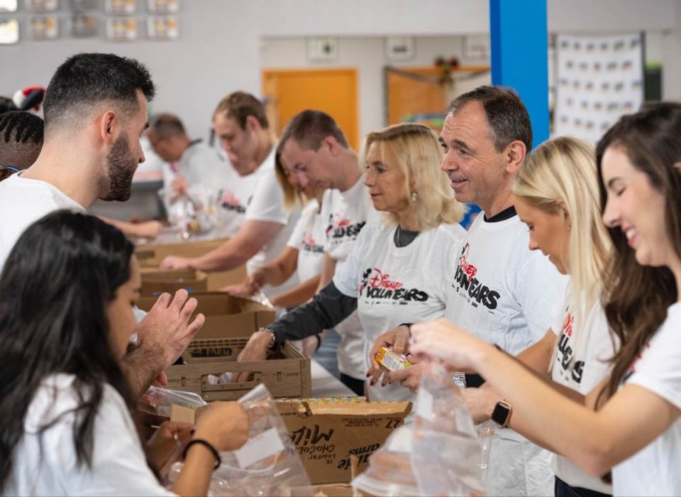 Disney Cruise Line VoluntEARS