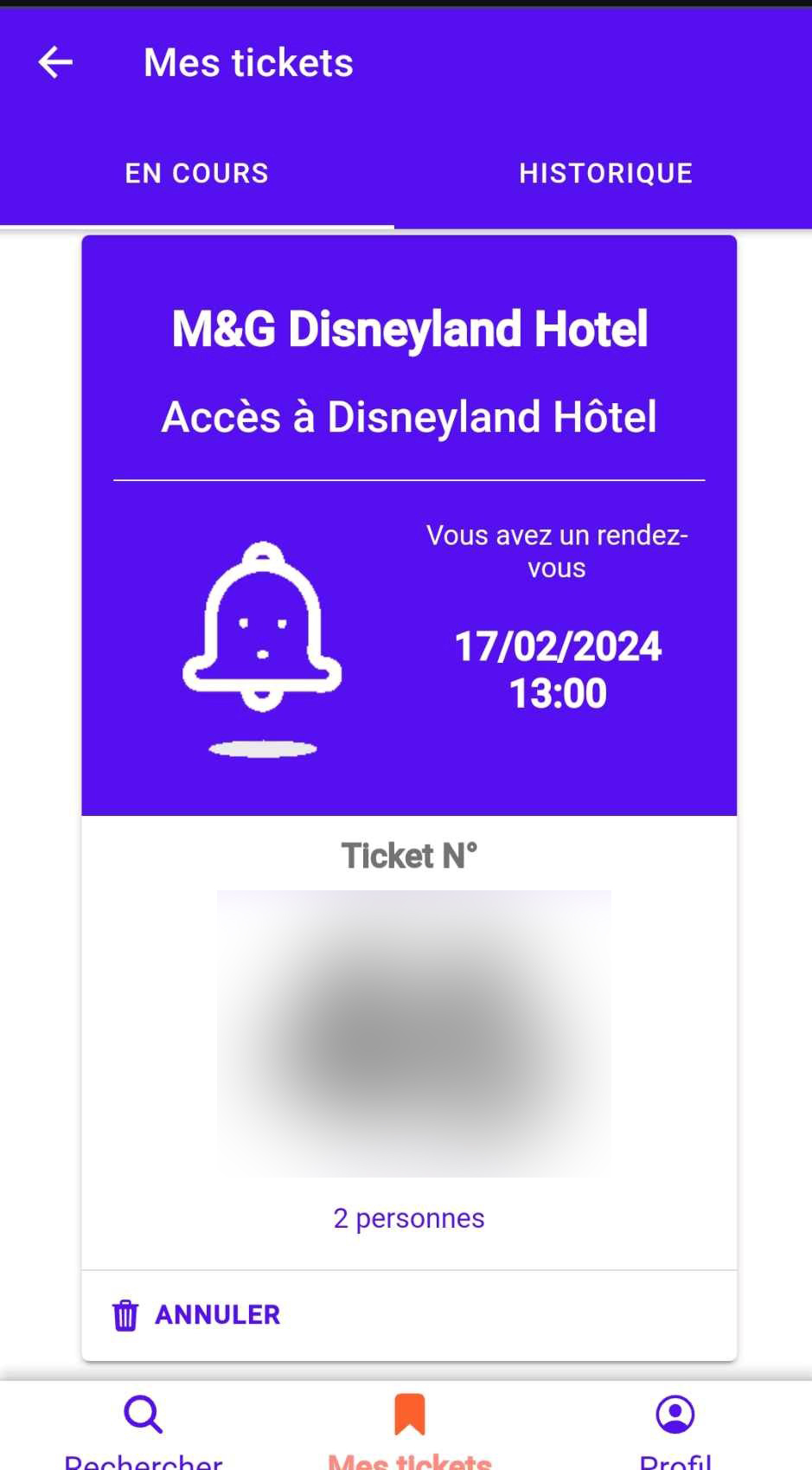 disneyland hotel non-résidents