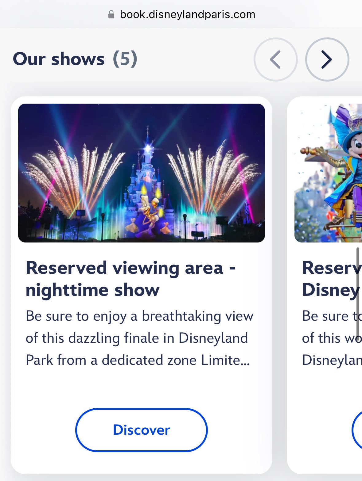 zones vip disneyland paris