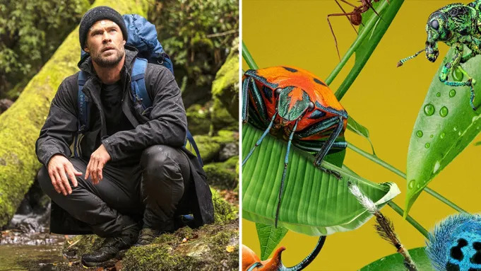 deux séries national geographic