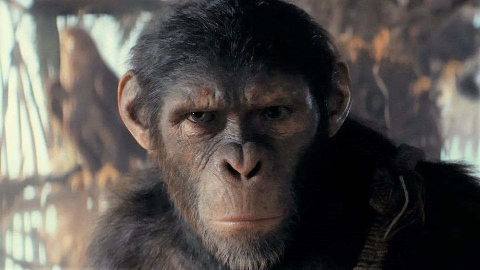 la planète des singes superbowl