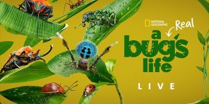 a real bug's life children & emmy awards
