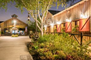 davy crockett ranch