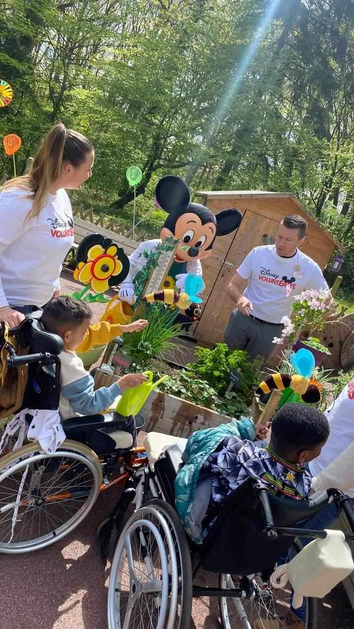 disneyland paris bullion