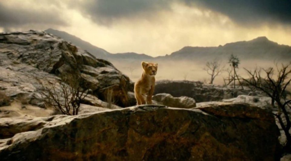 mufasa origines
