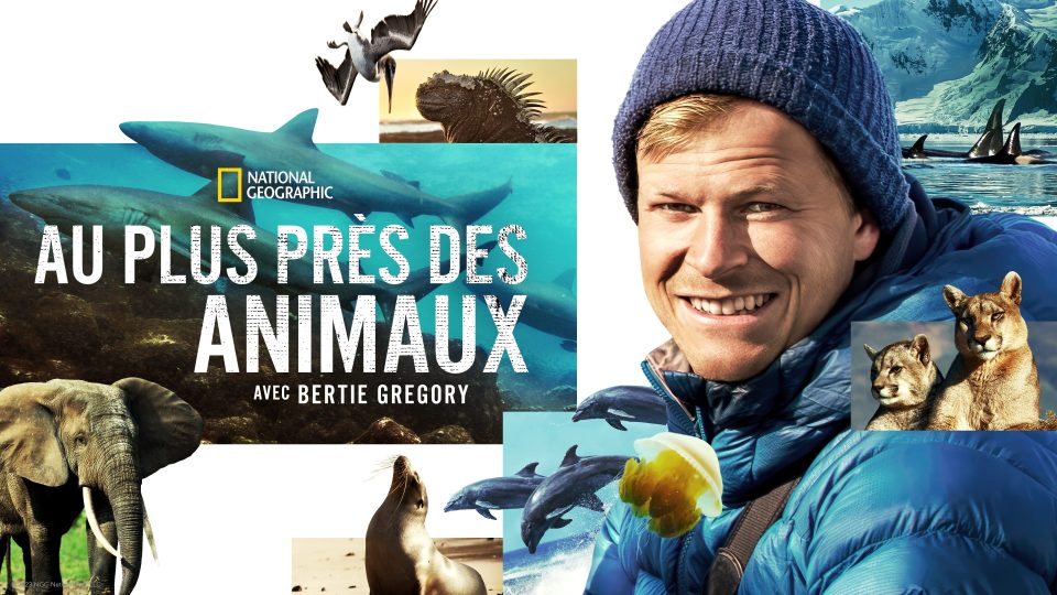 au plus près des animaux avec bertie gregory saison 2