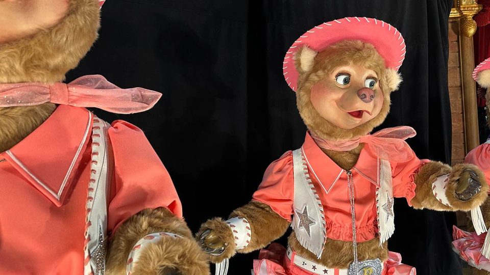 date country bear
