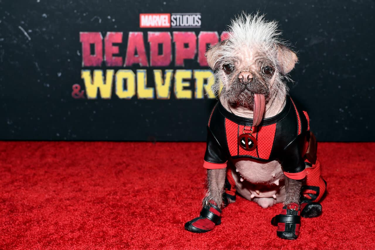 avant-première mondiale deadpool wolverine 30